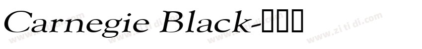 Carnegie Black字体转换